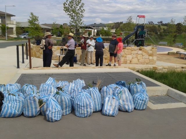 Image of volunteer group