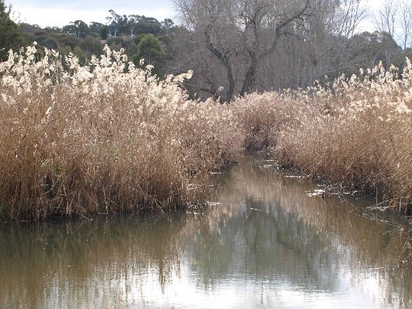 Image of park