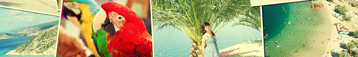 Banner image