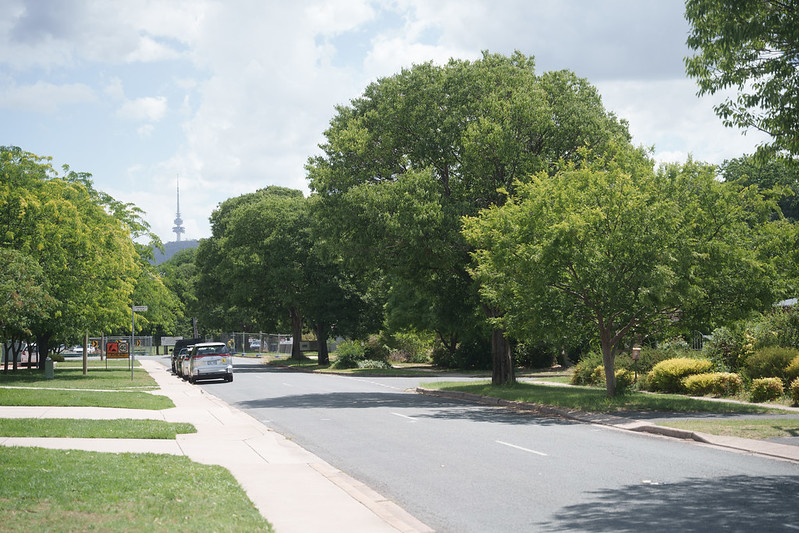 Canberra street