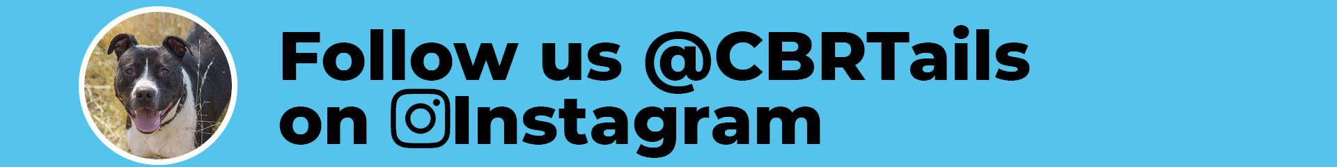 Follow CBRTails on Instagram banner