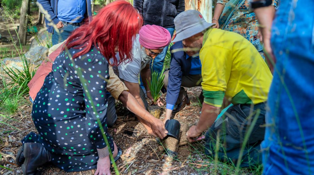 A group of people kneeling on the ground, planting a tree.