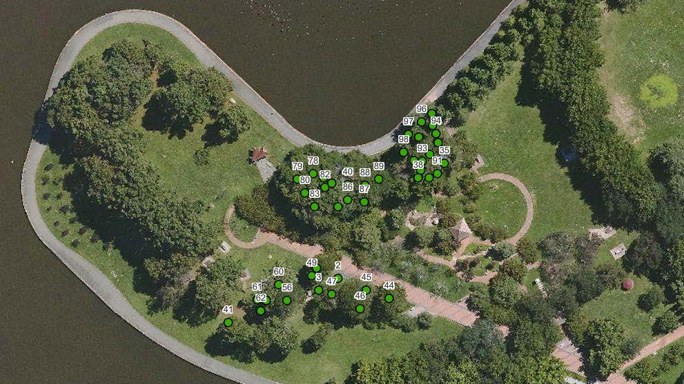 Map of Lennox Gardens showing the proposed tree removal.