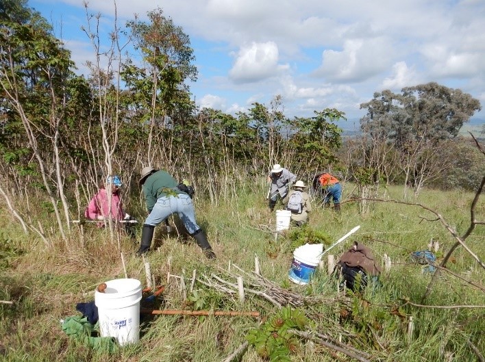 Image of volunteer group