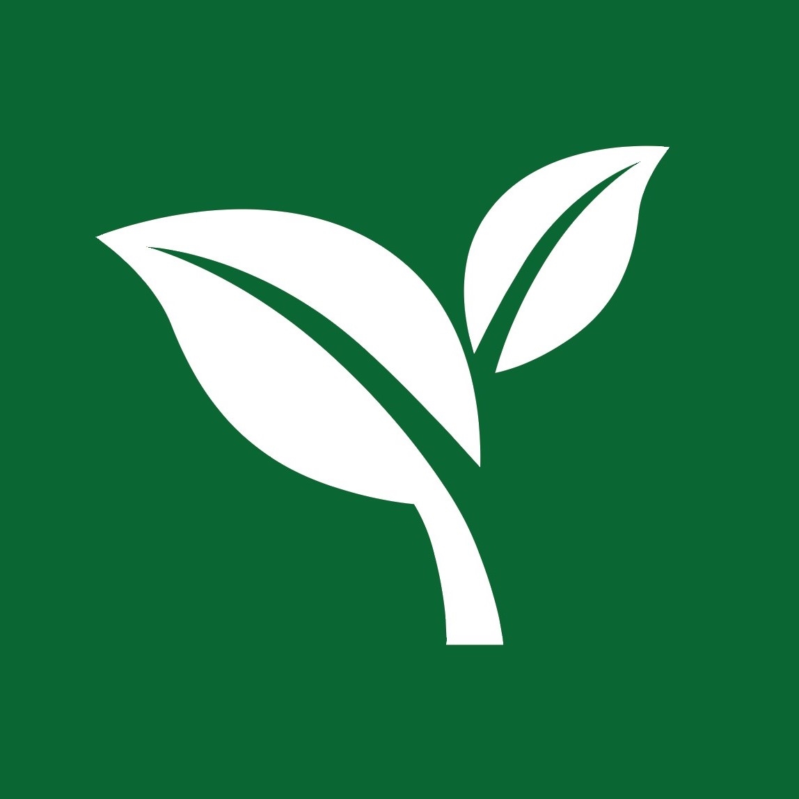 strategies icon