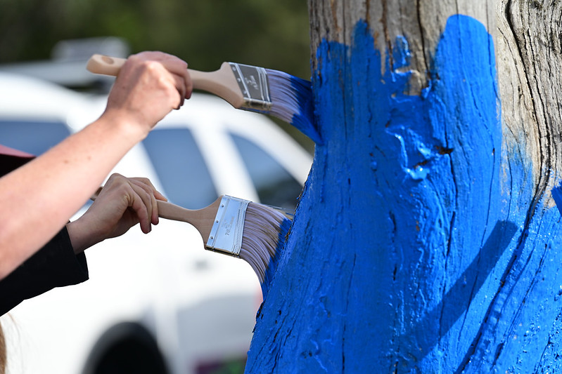 A tree in Acton is painted blue as part of the Blue Tree Project.