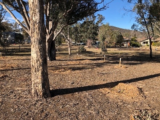 Image of park
