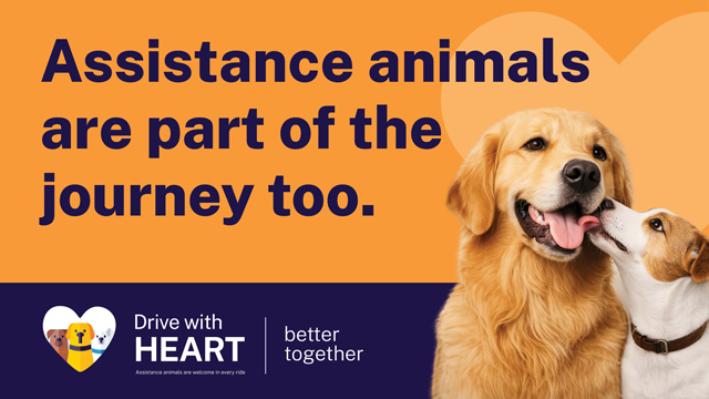 Picture with the words "Assistance animals are part of the journey too" and two dogs.